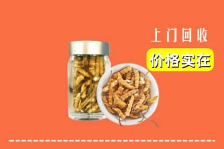 邵阳大祥区回收散虫草