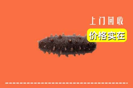 邵阳大祥区回收海参