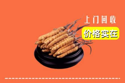邵阳大祥区回收冬虫夏草